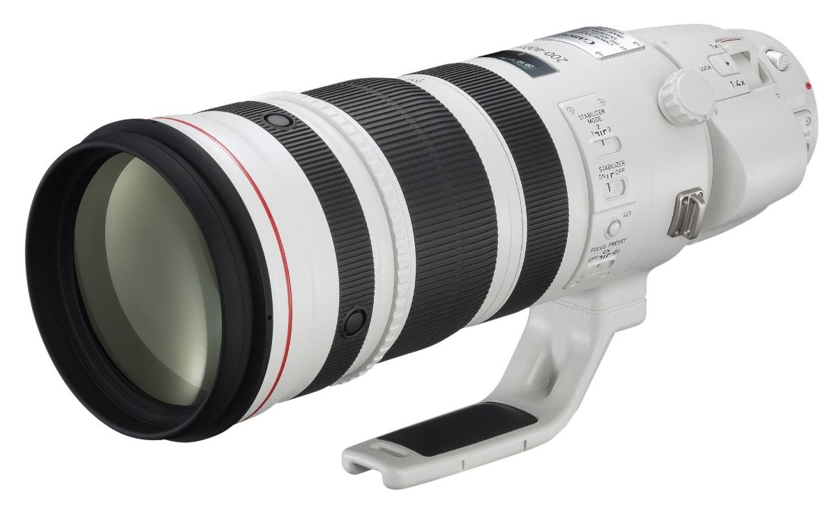 Canon EF 200-400mm f/4L IS USM 1.4x Extender